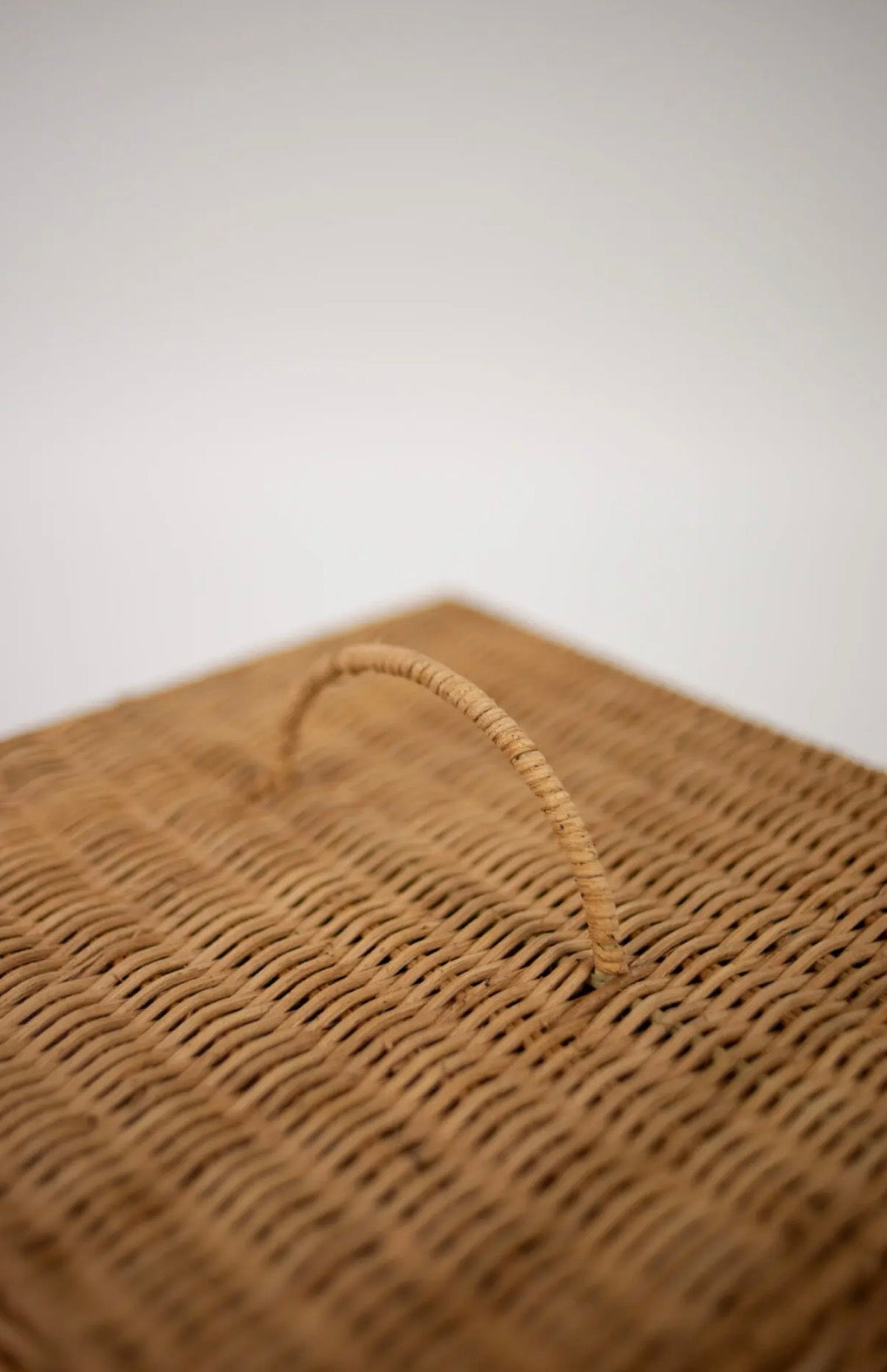 Taylor Tray with Cover — close-up of hand-woven rattan loop handle on dome lid