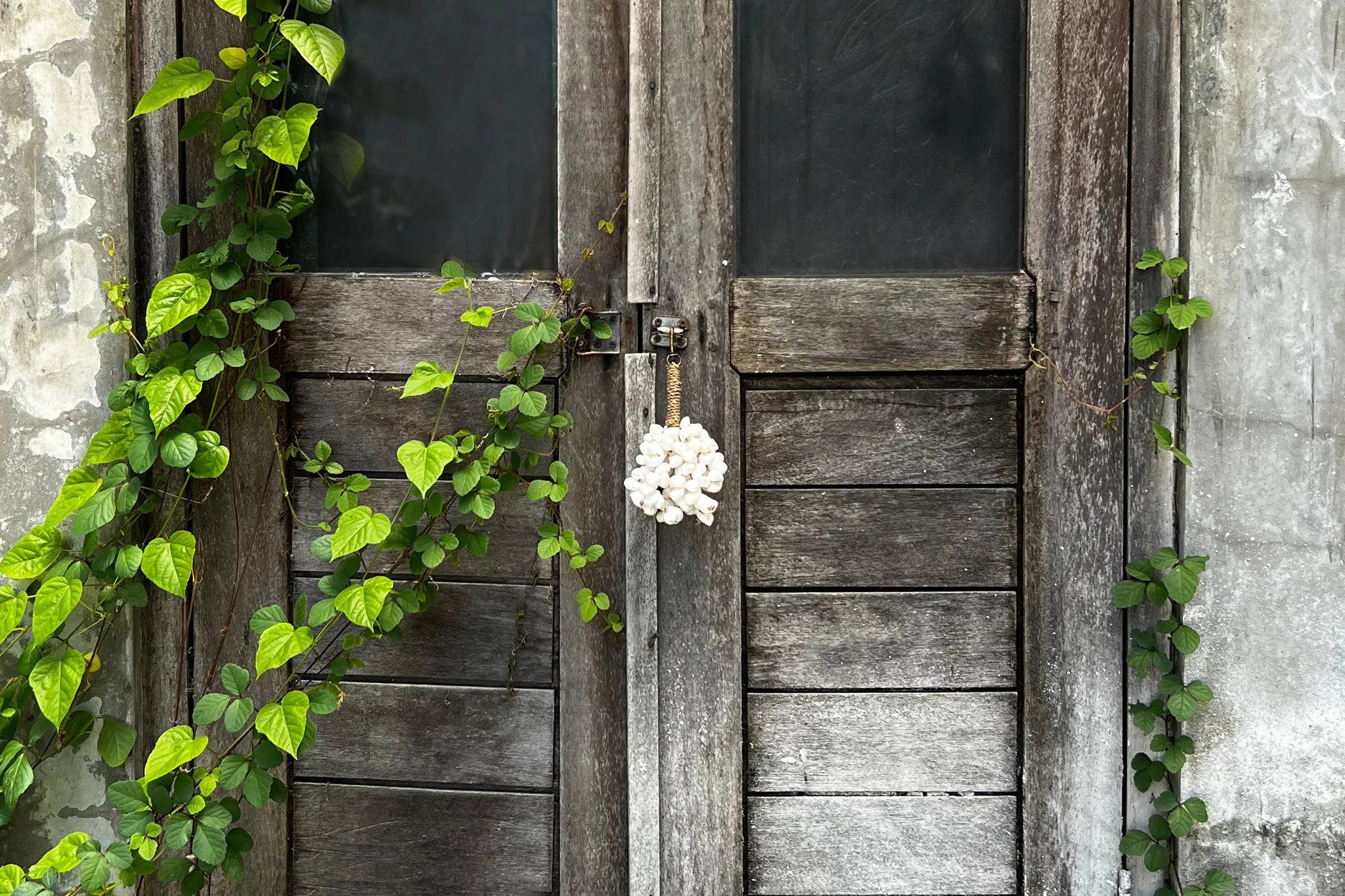 The Kai Shell Keychain — White, front view silver clasp white background