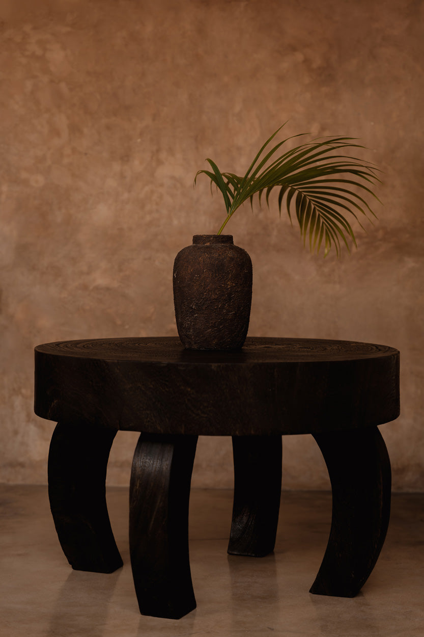 Octo Chic Coffee Table Dark Walnut — side view on white background